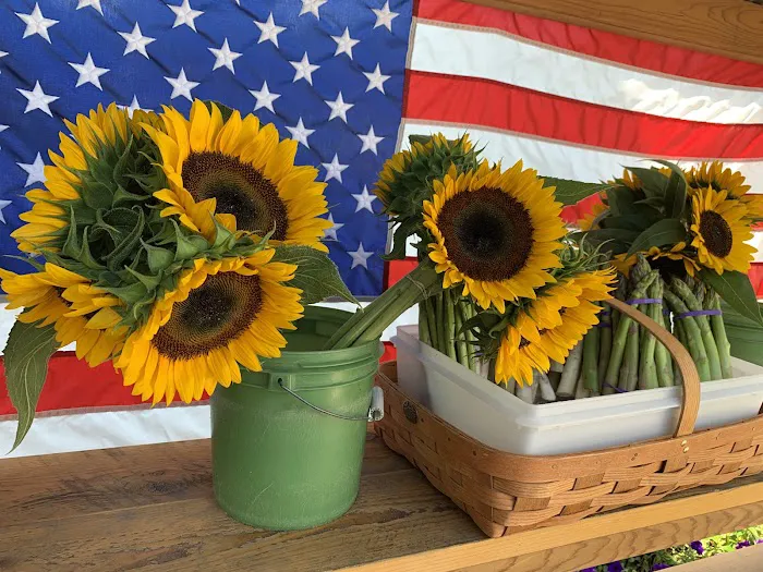 Round Swamp Farm Picture 6