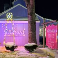 Deviant Donuts ico
