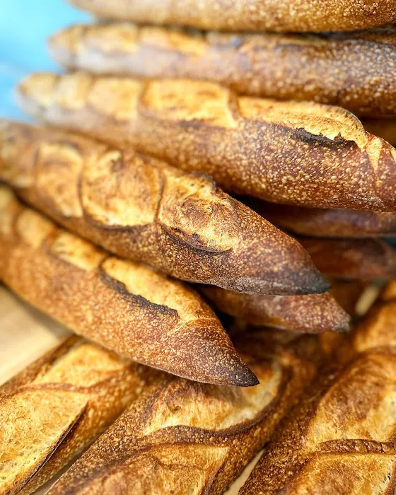Flour Water Salt Bread Picture 2