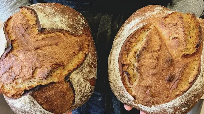 123Dough Bakery Picture 3