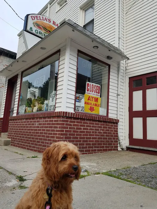 D'Elia's Bakery & Grinder Shop Picture 6