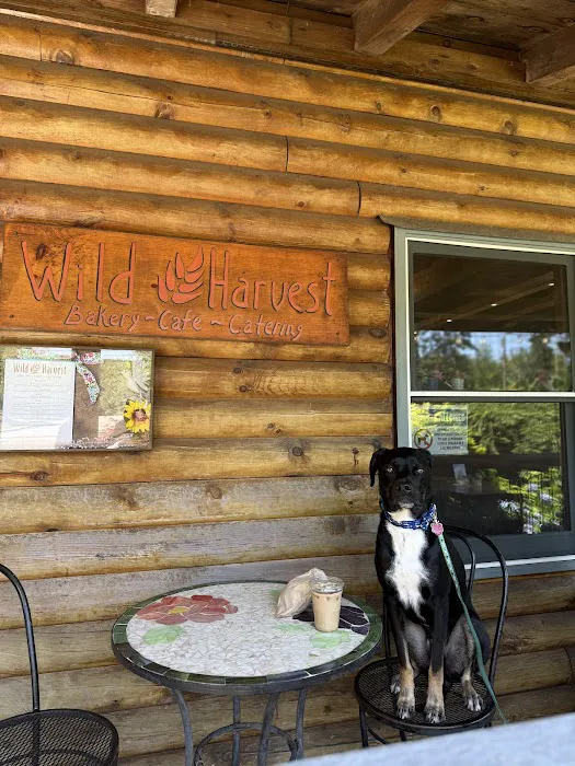 Wild Harvest Bakery & Cafe Picture 4