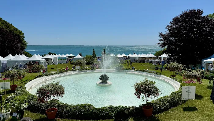 Newport Flower Show Picture 1