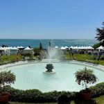 Newport Flower Show