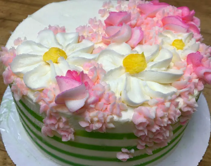 Newport Cake Picture 1