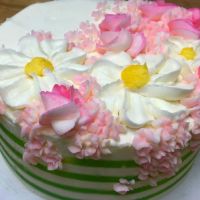 Newport Cake ico
