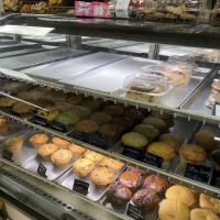 JV BAGELS Shrub Oak ico