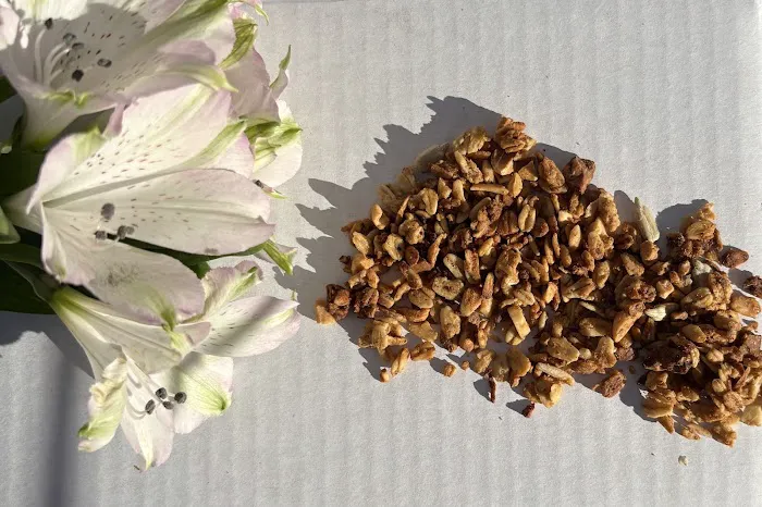 La Fina Granola Picture 7