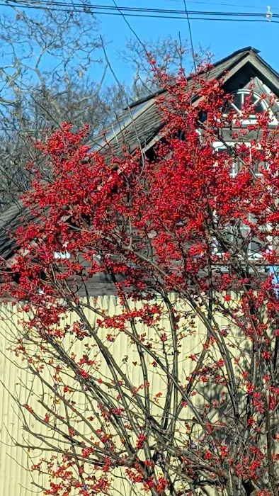 Sip N Dip Donuts Picture 5