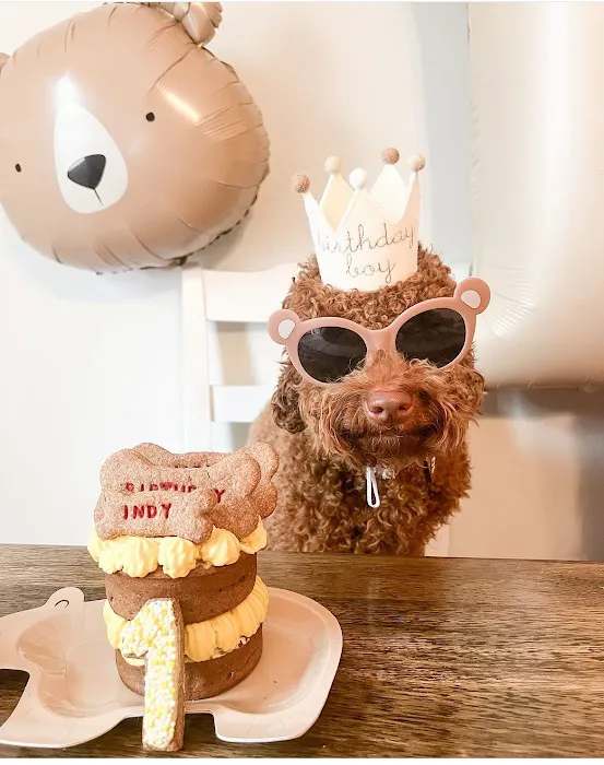 Power Pup Treats, LLC Picture 1