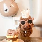 Power Pup Treats, LLC