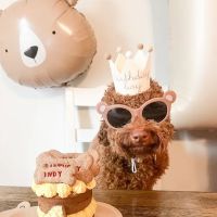 Power Pup Treats, LLC ico