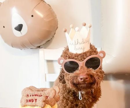 Power Pup Treats, LLC