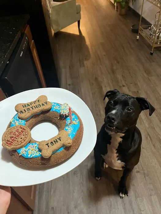 Power Pup Treats, LLC Picture 9