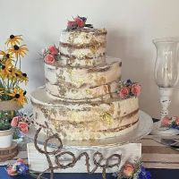 Creative Cakes By Donna ico