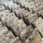 Bear Mountain Bakery & Cafe