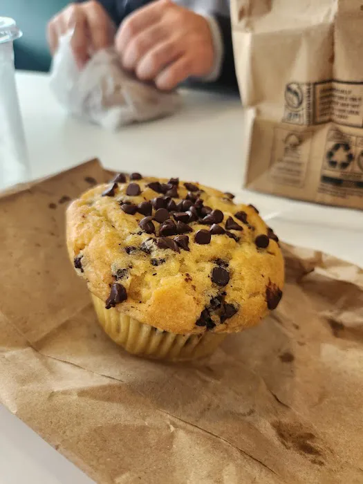 New York Bagel Co Picture 9