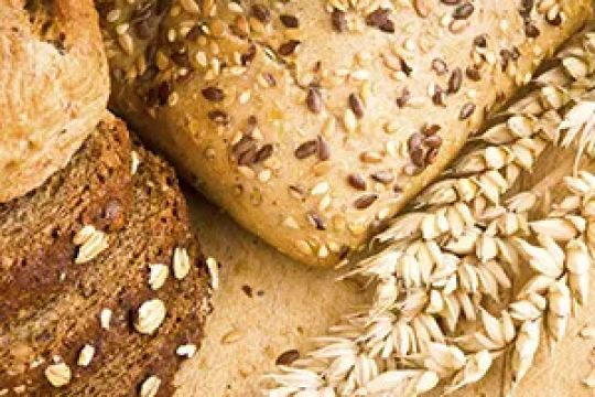 Apicella's Bakery Inc