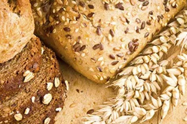 Apicella's Bakery Inc