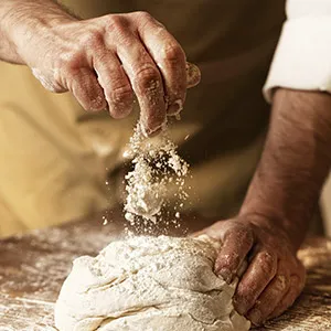 Apicella's Bakery Inc Picture 4