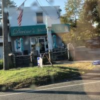 Devine's Bagels & Café ico