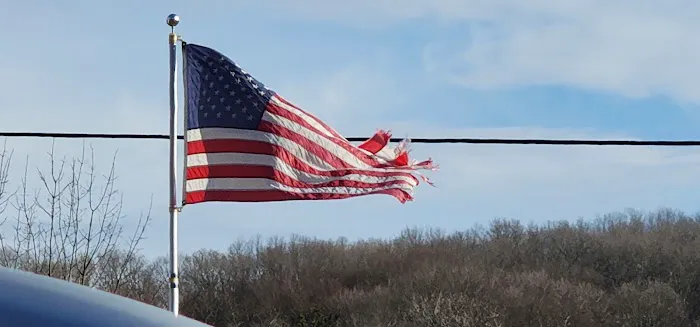 Heavenly Donuts Picture 10