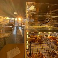 Miracle Bagels ico