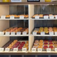 Peaceful Provisions ico