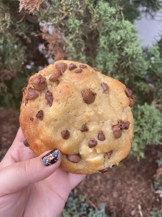 Let's Get Baked Cookies Picture 9