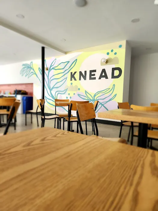 KNEAD Doughnuts Picture 3