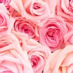 Oh Sugar Sweets By Briana LLC