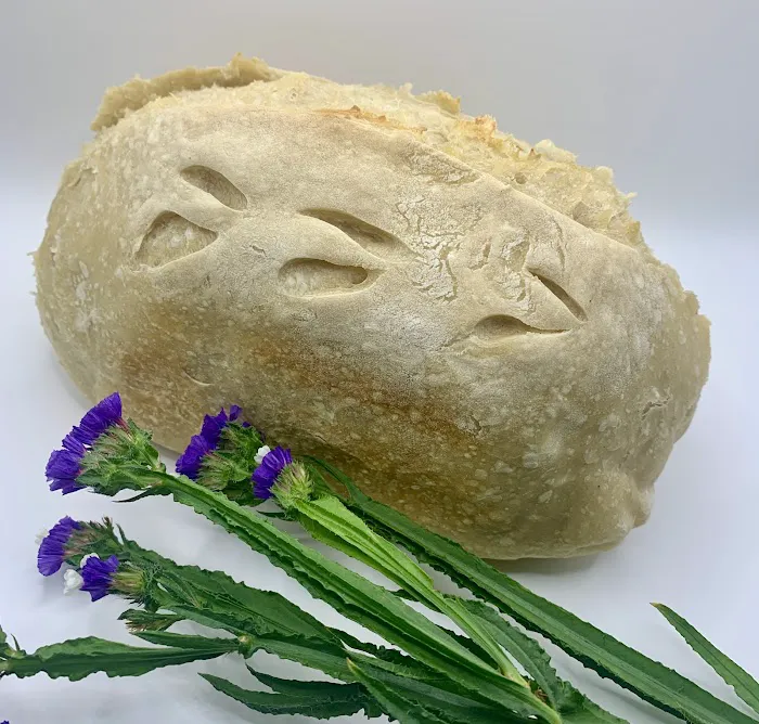 Hillyndale Road Farm & Bakery Picture 1