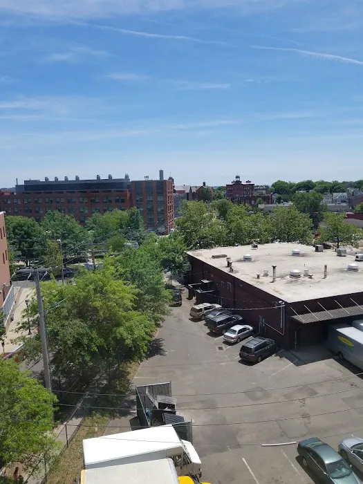 Lupi-Marchigiano Bakery Picture 9