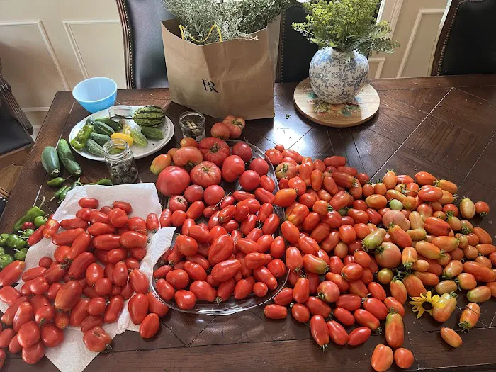 To the Moon Farms LLC Picture 8