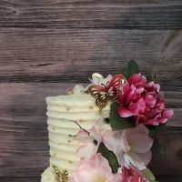 Elm City Cake ico