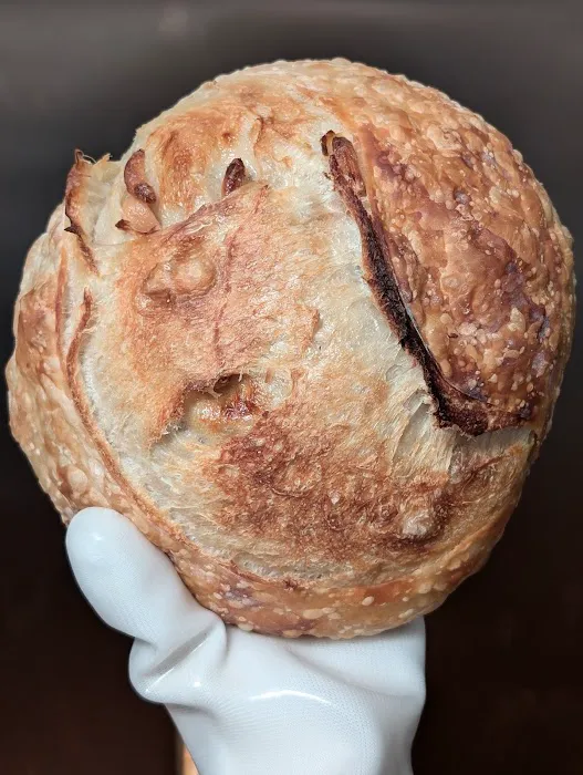 Skokorat Sourdough LLC Picture 9