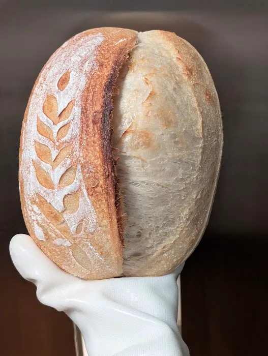 Skokorat Sourdough LLC Picture 8