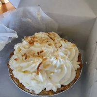 PVD Pies ico