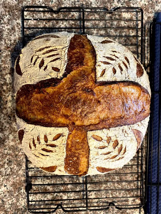 Sourdough Vinca Picture 2