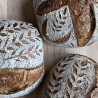 Sourdough Vinca ico