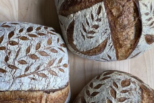Sourdough Vinca