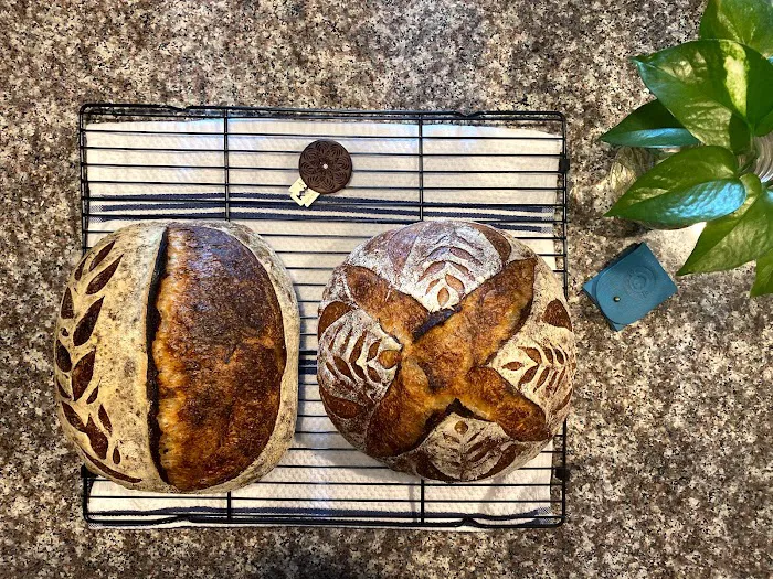 Sourdough Vinca Picture 5