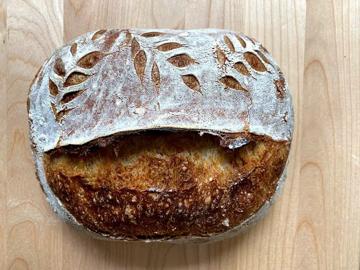 Sourdough Vinca Picture 4