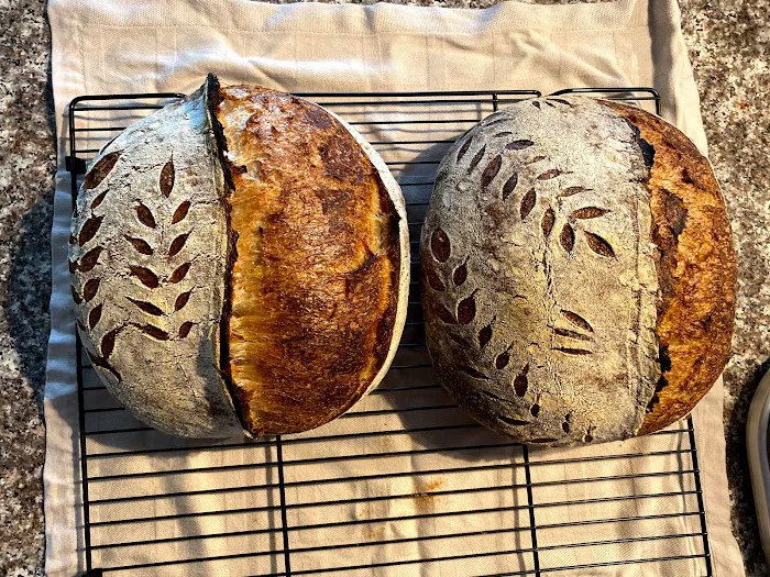 Sourdough Vinca Picture 8