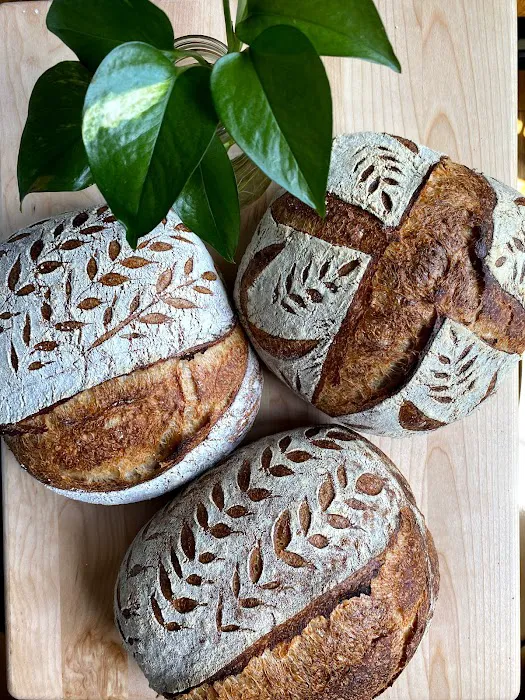 Sourdough Vinca Picture 9