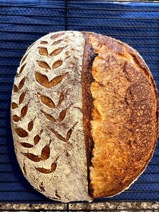 Sourdough Vinca Picture 7