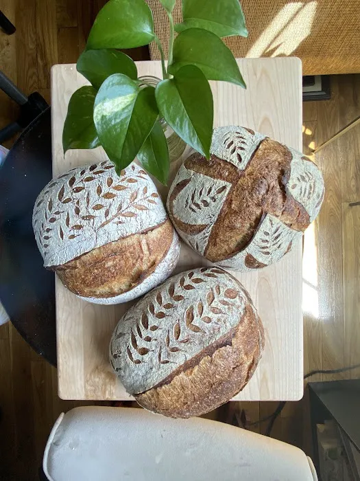 Sourdough Vinca Picture 10