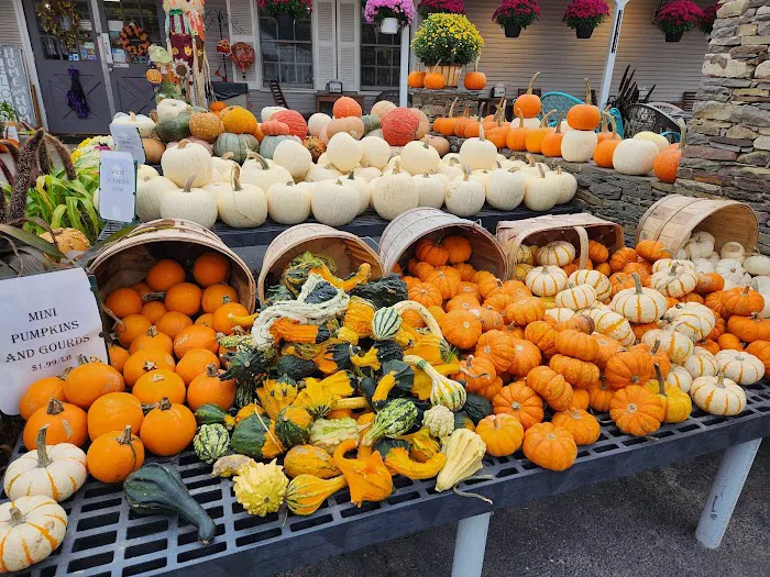 Lewis Farms Picture 3