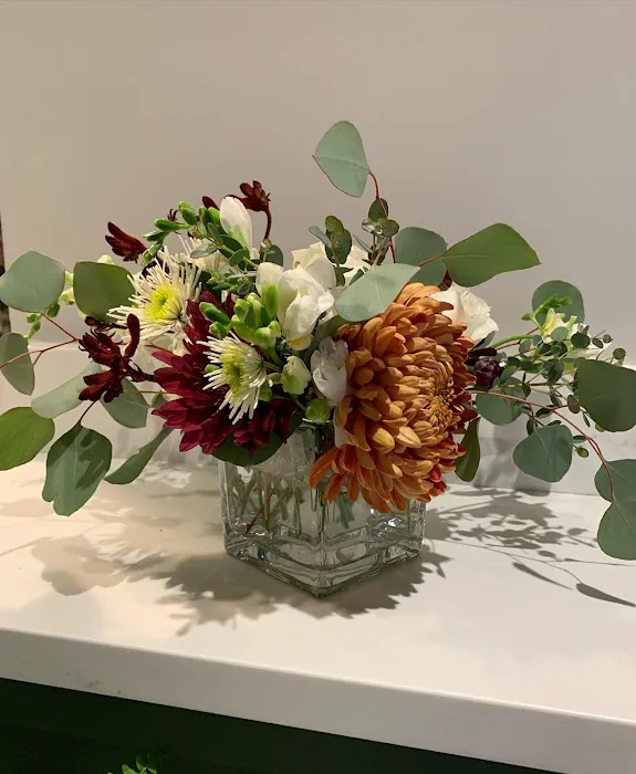 Bloom Bake Shop Picture 10