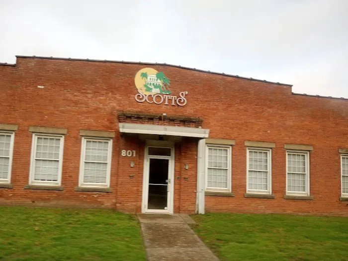 Scotts Jamaican Bakery Picture 1
